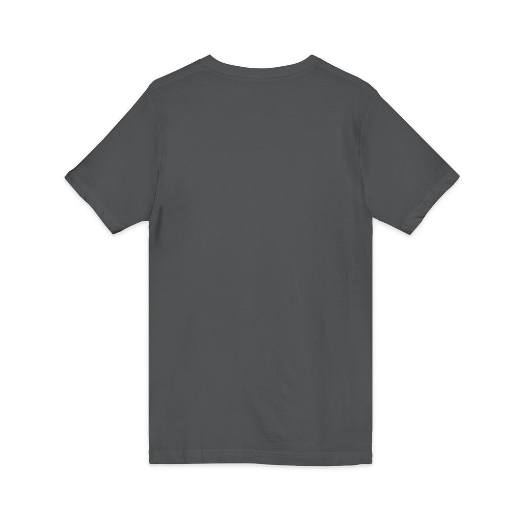 Cat Lover V-Neck Tee — "Low Maintenance. High Standards. Likes Cats."