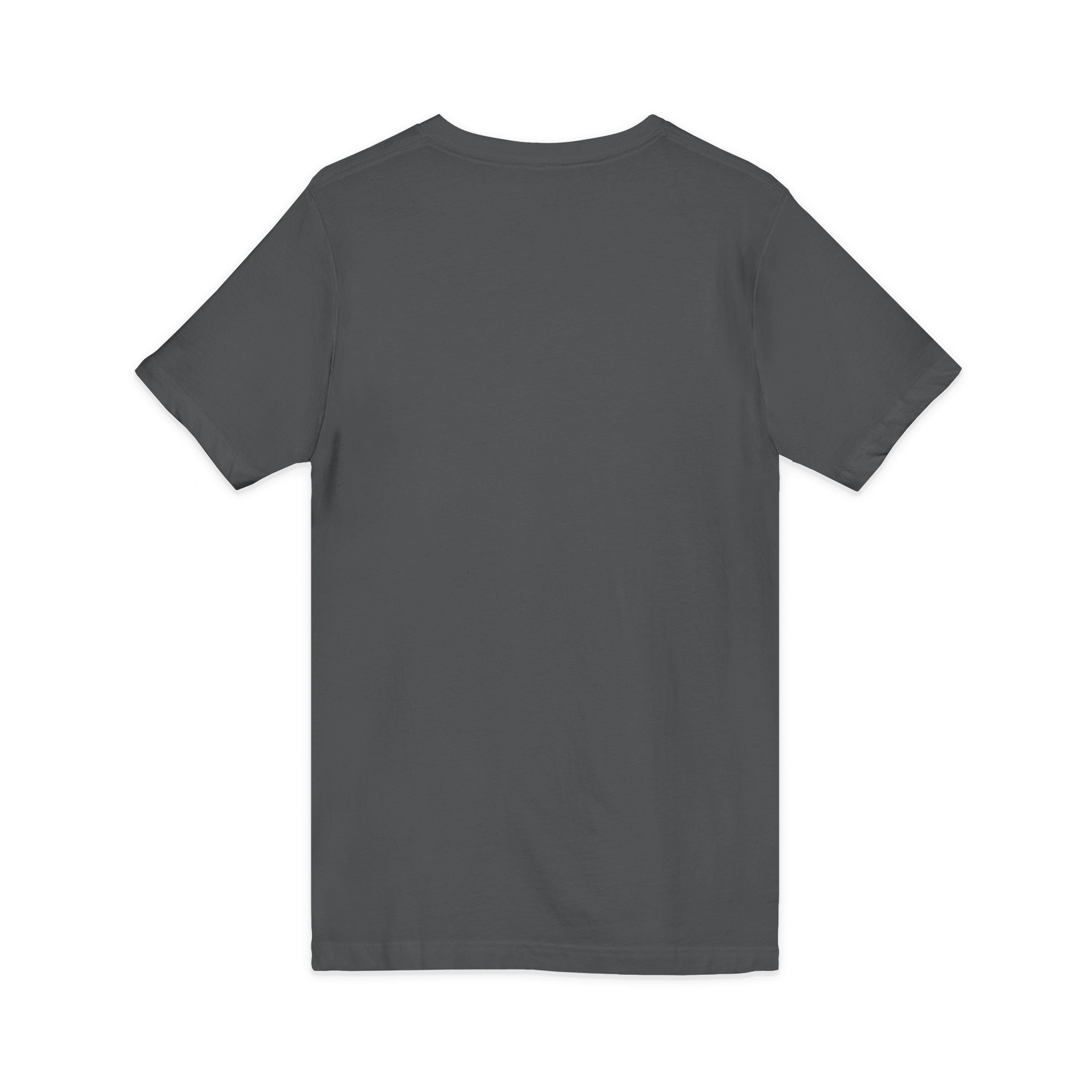 Cat Lover V-Neck Tee — "Low Maintenance. High Standards. Likes Cats."