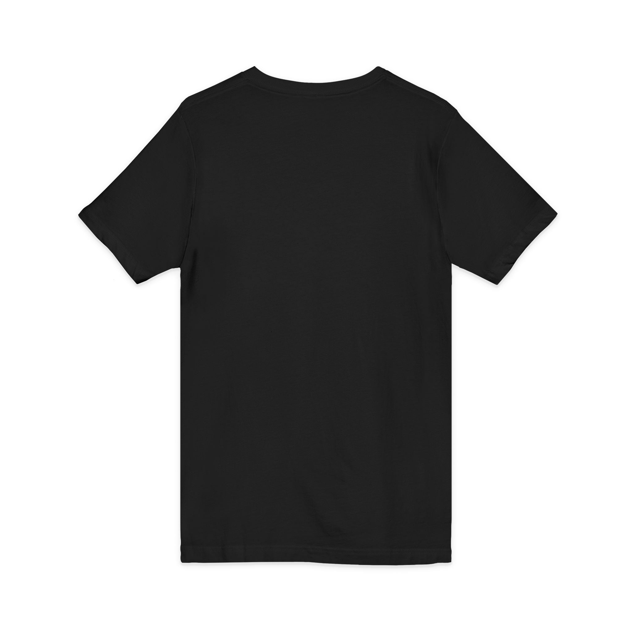 Cat Lover V-Neck Tee — "Low Maintenance. High Standards. Likes Cats."