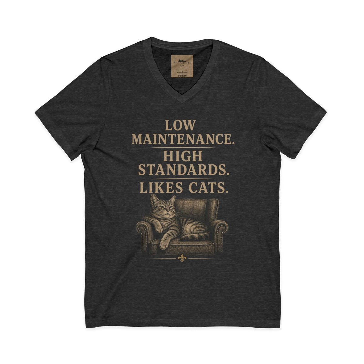 Cat Lover V-Neck Tee — "Low Maintenance. High Standards. Likes Cats."