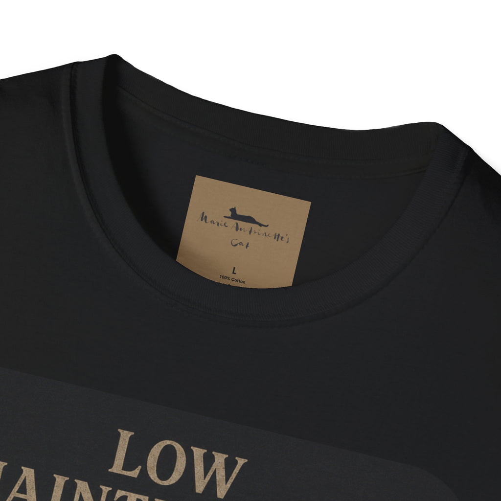 Cat Lover T‑Shirt — "Low Maintenance. High Standards. Likes Cats." Design