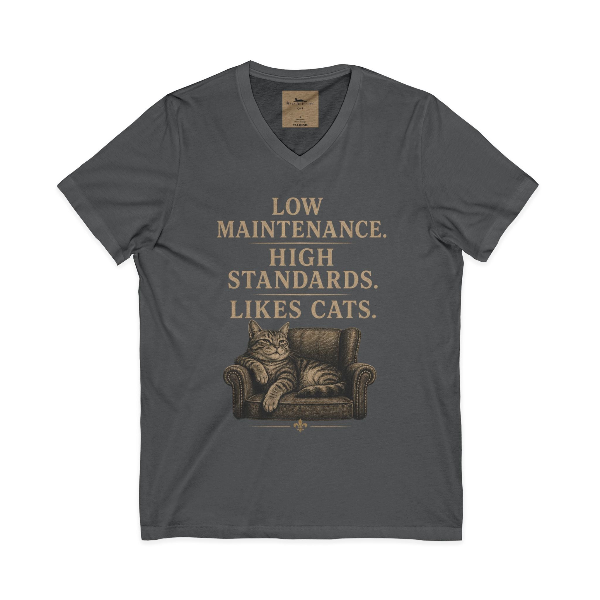 Cat Lover V-Neck Tee — "Low Maintenance. High Standards. Likes Cats."