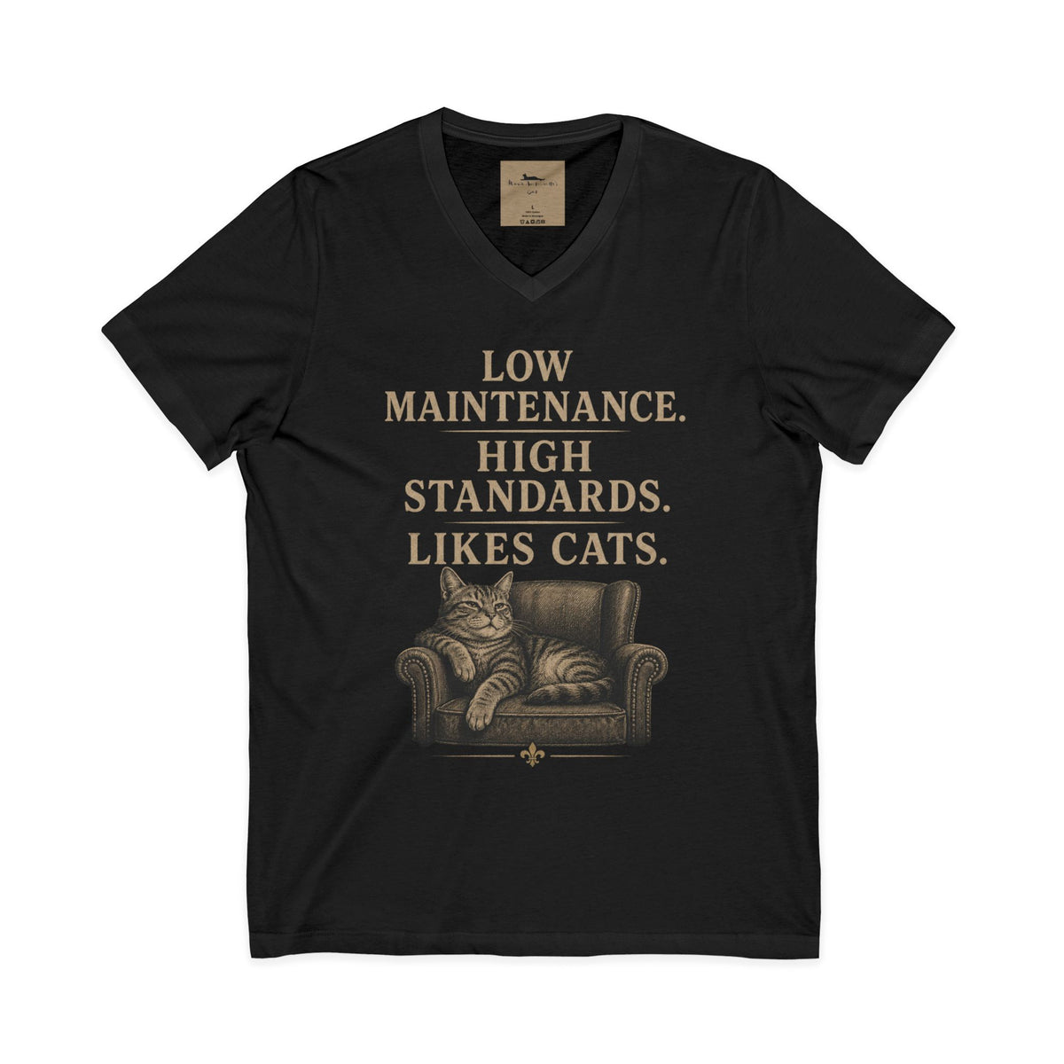 Cat Lover V-Neck Tee — "Low Maintenance. High Standards. Likes Cats."