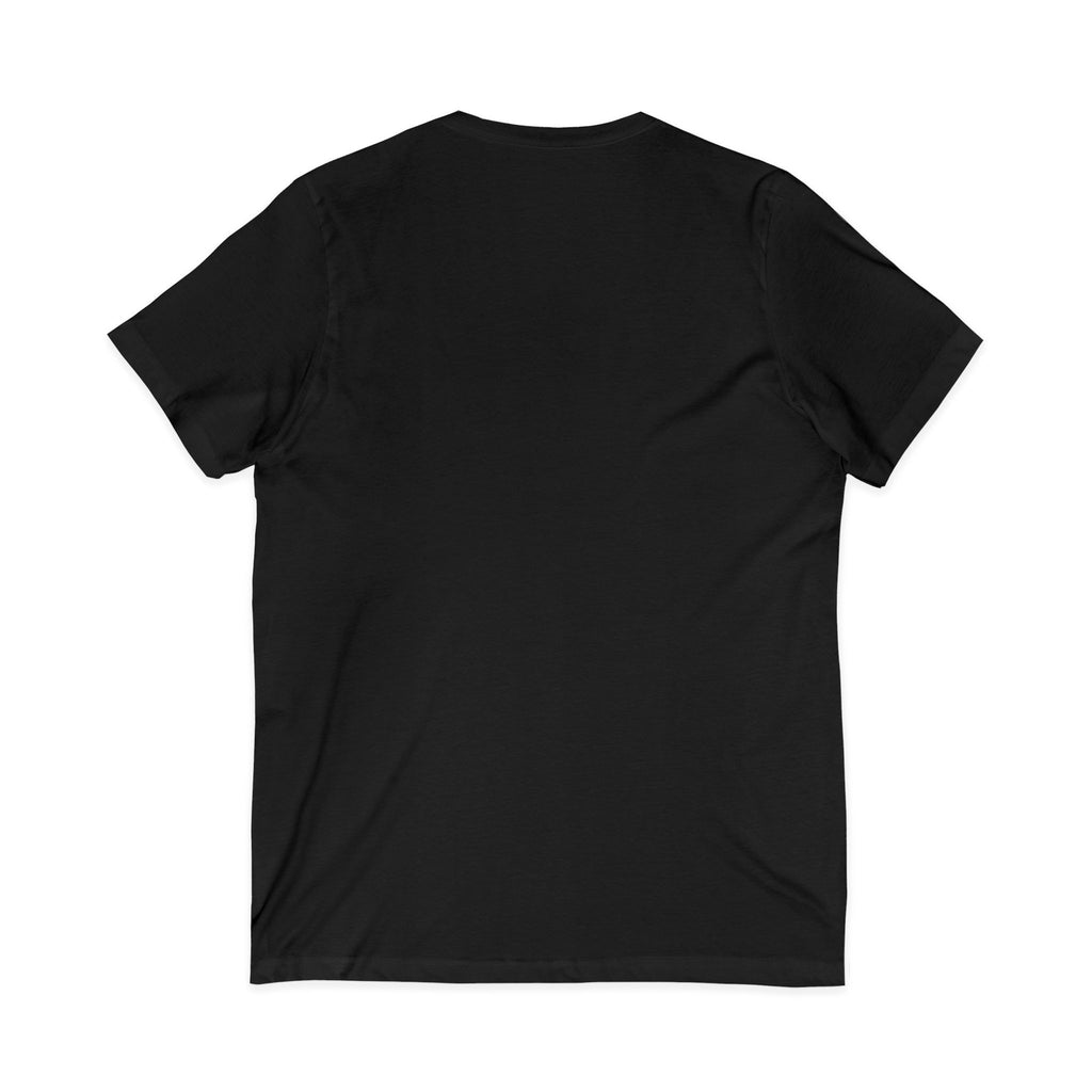 Cat Lover V-Neck Tee — "Low Maintenance. High Standards. Likes Cats."