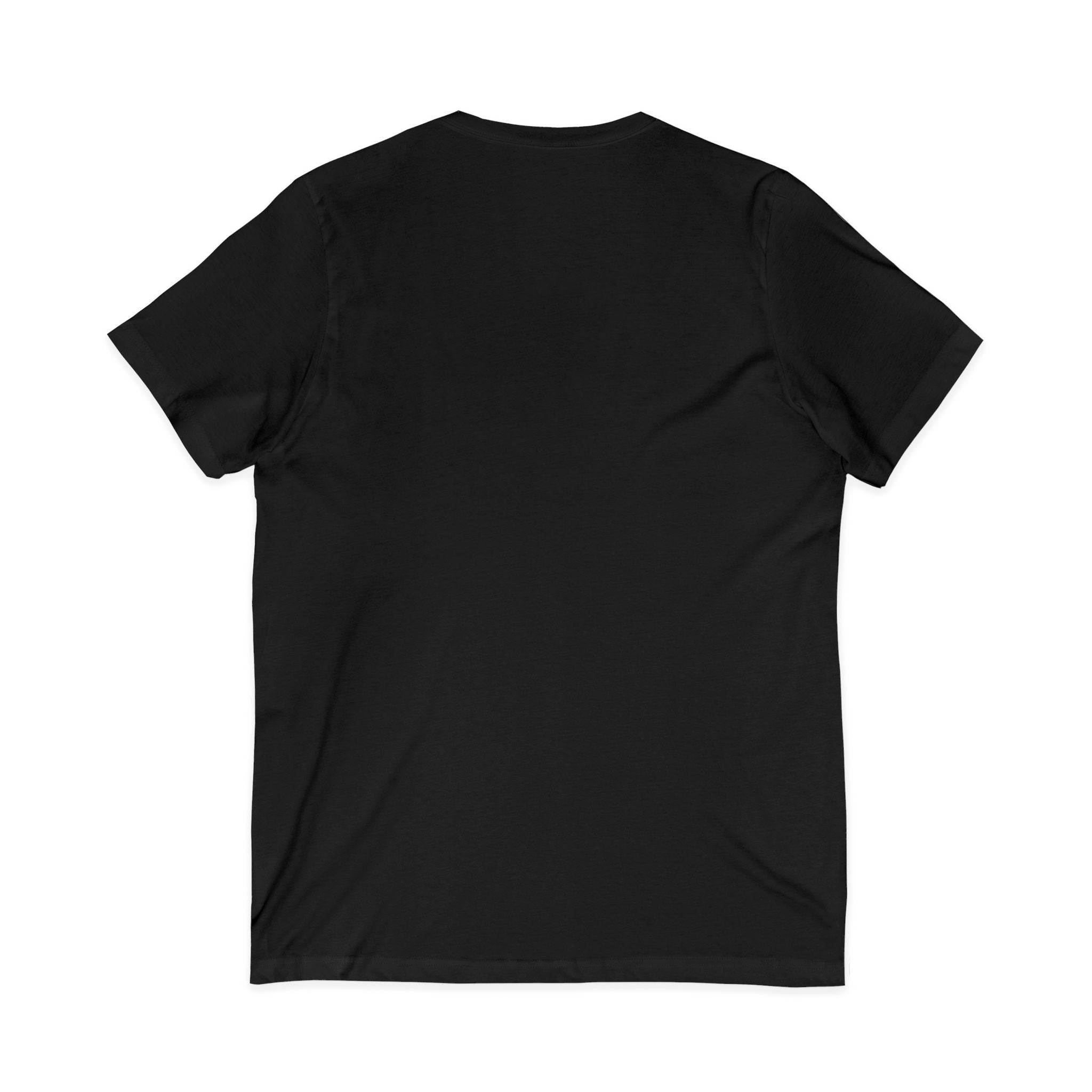 Cat Lover V-Neck Tee — "Low Maintenance. High Standards. Likes Cats."