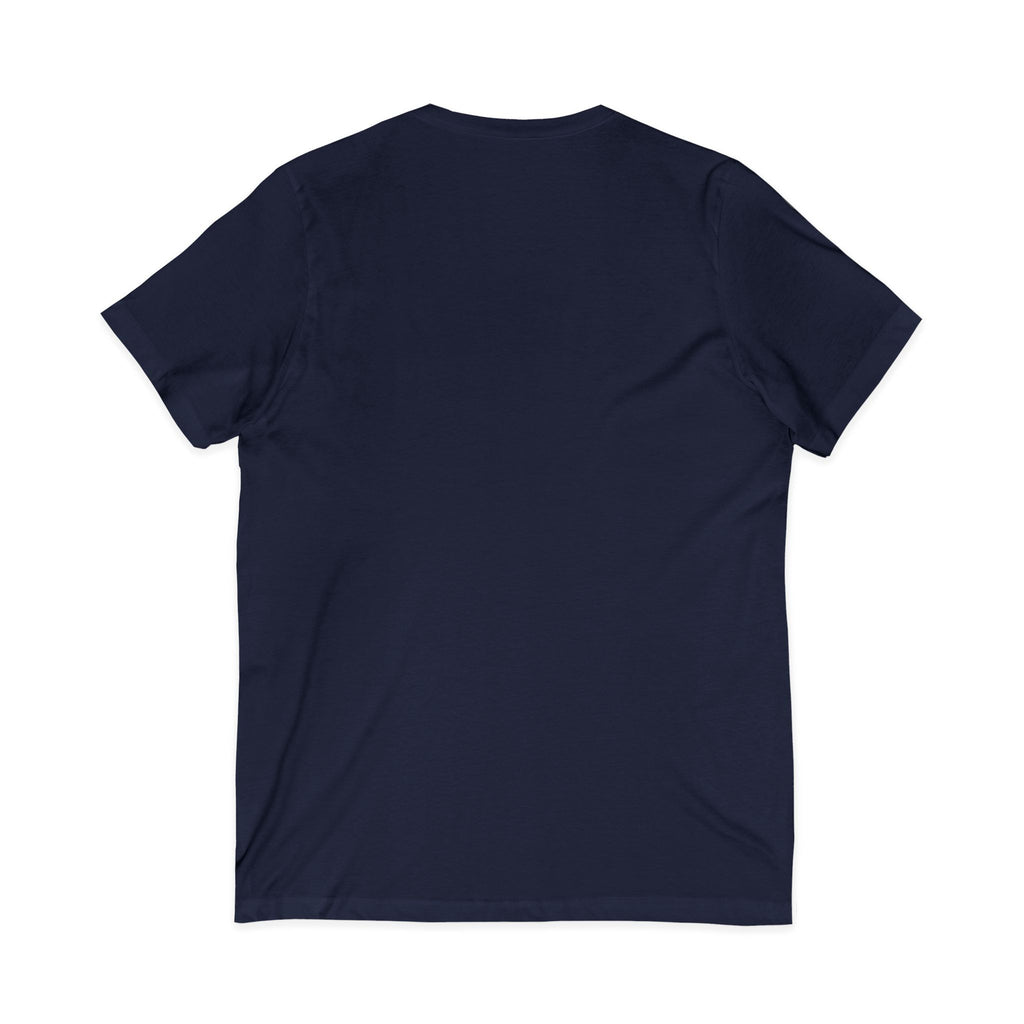 Cat Lover V-Neck Tee — "Low Maintenance. High Standards. Likes Cats."