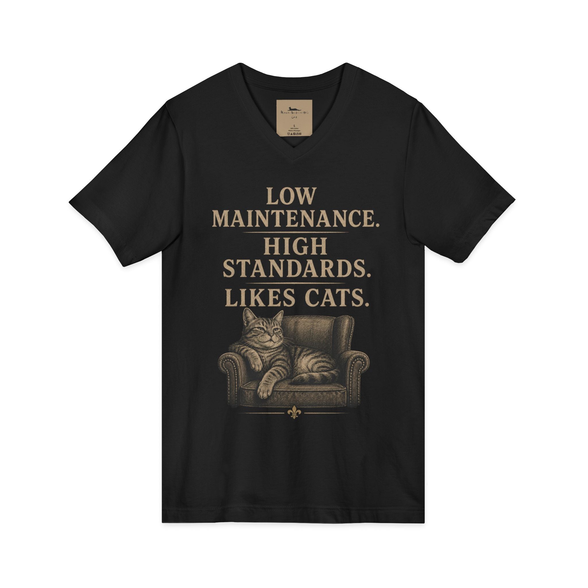 Cat Lover V-Neck Tee — "Low Maintenance. High Standards. Likes Cats."