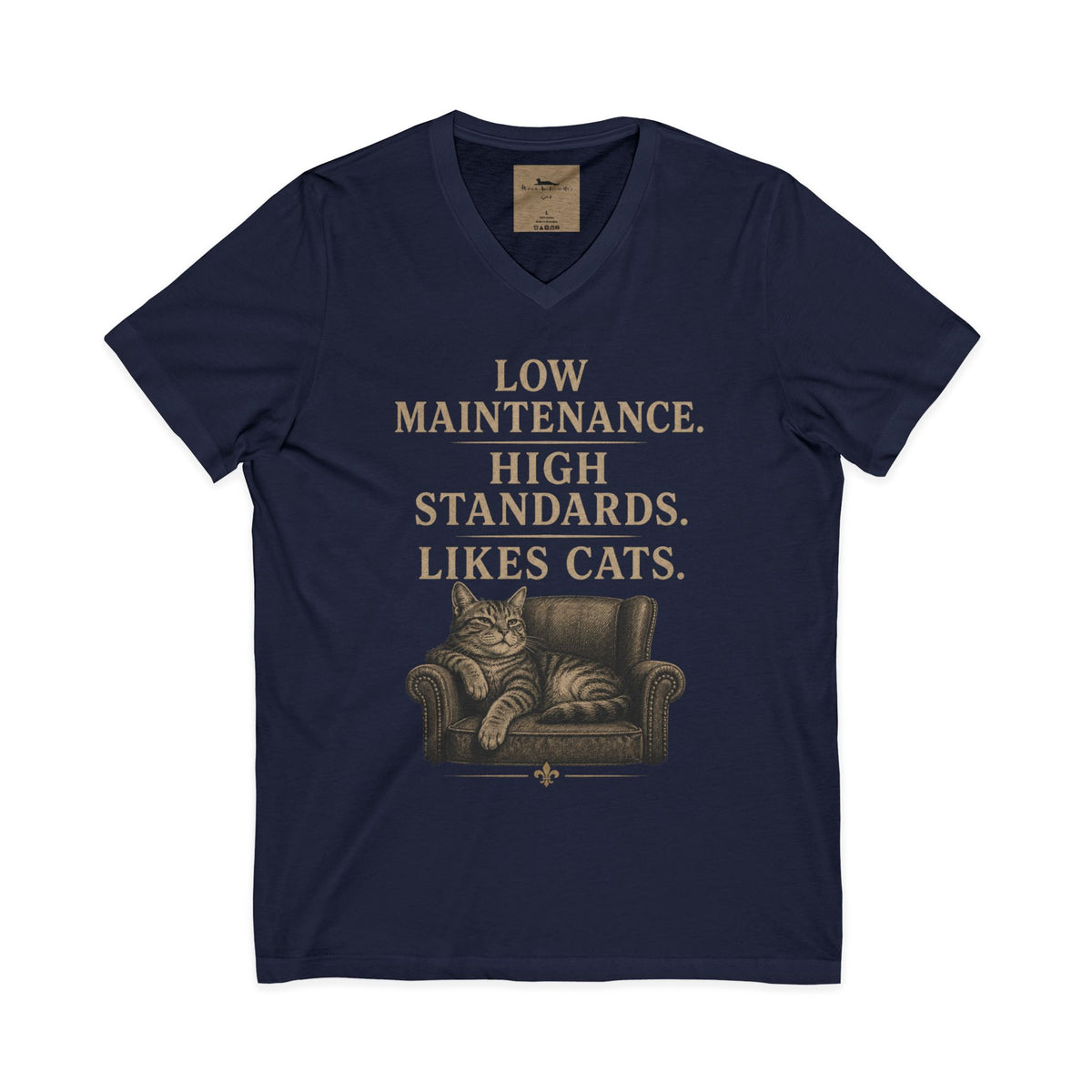 Cat Lover V-Neck Tee — "Low Maintenance. High Standards. Likes Cats."