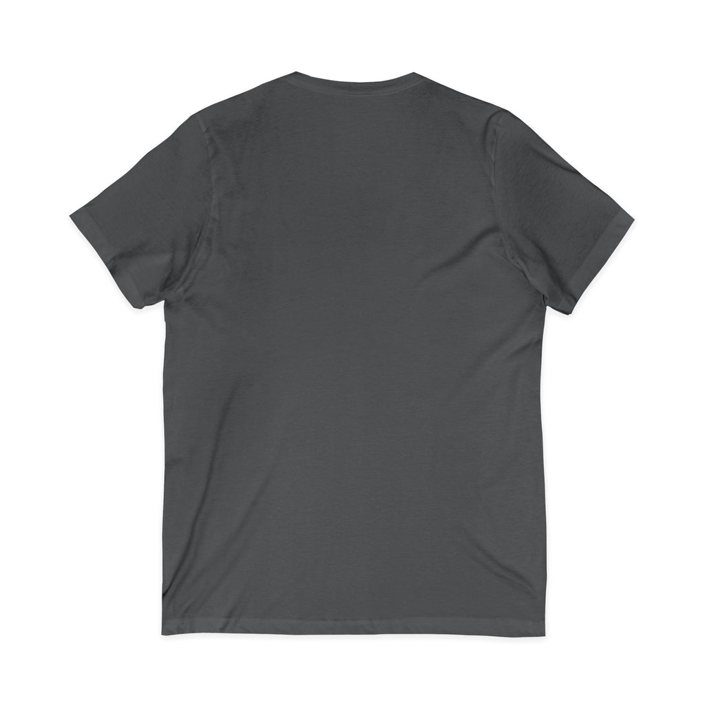 Cat Lover V-Neck Tee — "Low Maintenance. High Standards. Likes Cats."