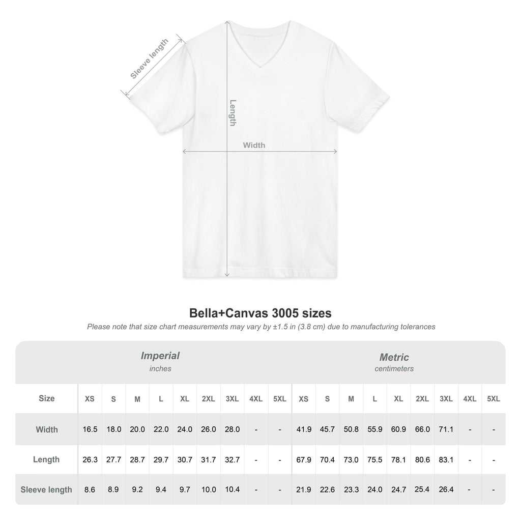 Cat Lover V-Neck Tee — "Low Maintenance. High Standards. Likes Cats."