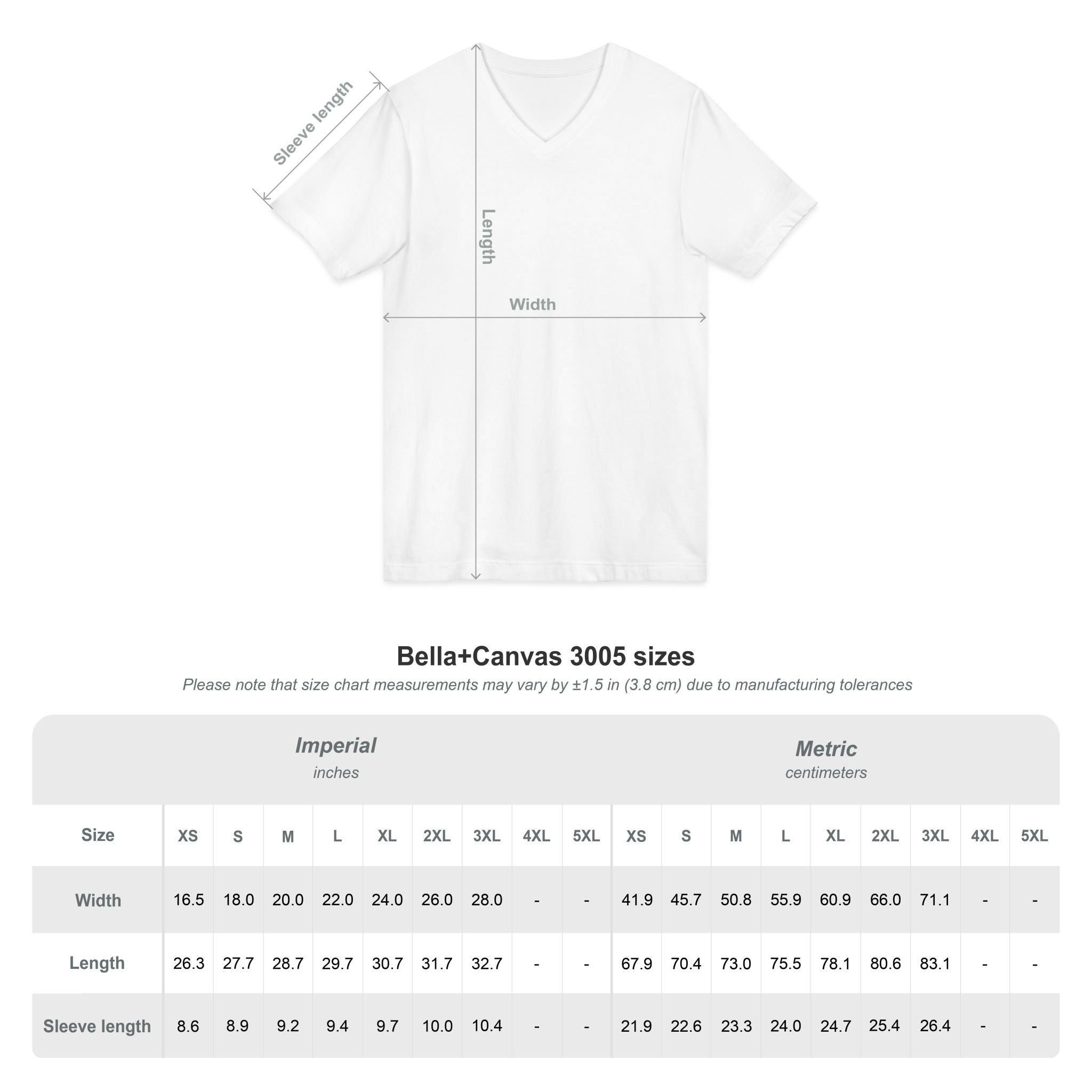 Cat Lover V-Neck Tee — "Low Maintenance. High Standards. Likes Cats."